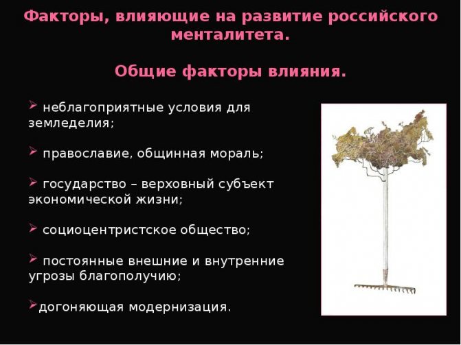 В научном плане менталитет различают